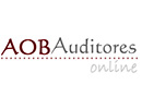 auditores online